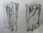 Huxley's penguin. Holotype tarsometatarsus in Natural History Museum London (from type description in the Proceedings of the Geological Society). Otago, January 1859. Image © Alan Tennyson by Alan Tennyson.